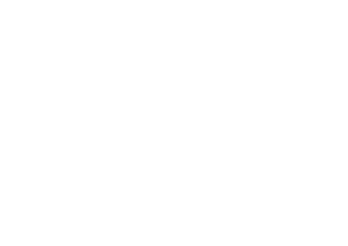 READYING PROFESSIONALS IN MOBILITY